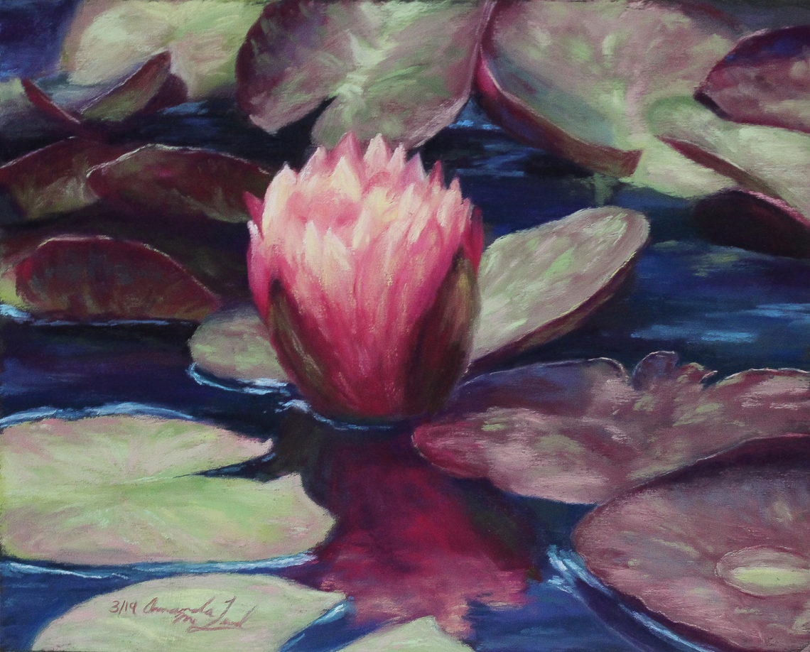 pink water lily painting