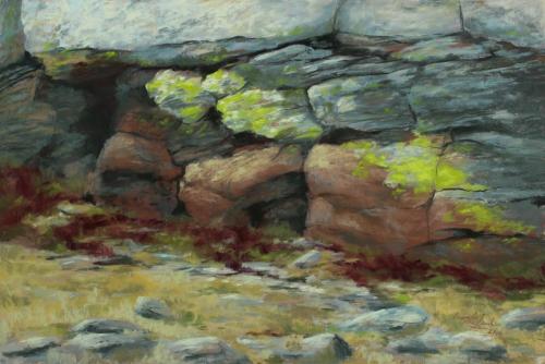 Life Above the Timberline